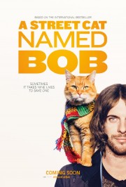 Chú Mèo Đường Phố Tên Bob-A Street Cat Named Bob 