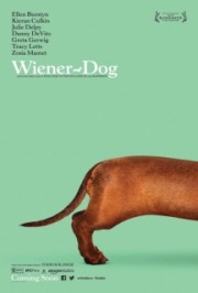 Giải Đua Chó Thế Giới - Wiener-Dog 