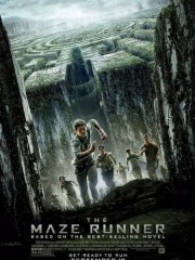 Giải Mã Mê Cung - The Maze Runner 
