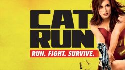 Sát Thủ Mèo Hoang-Cat Run