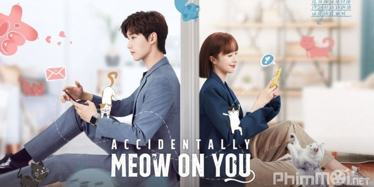 Bất Cẩn Meow Phải Anh - Accidentally Meow On You