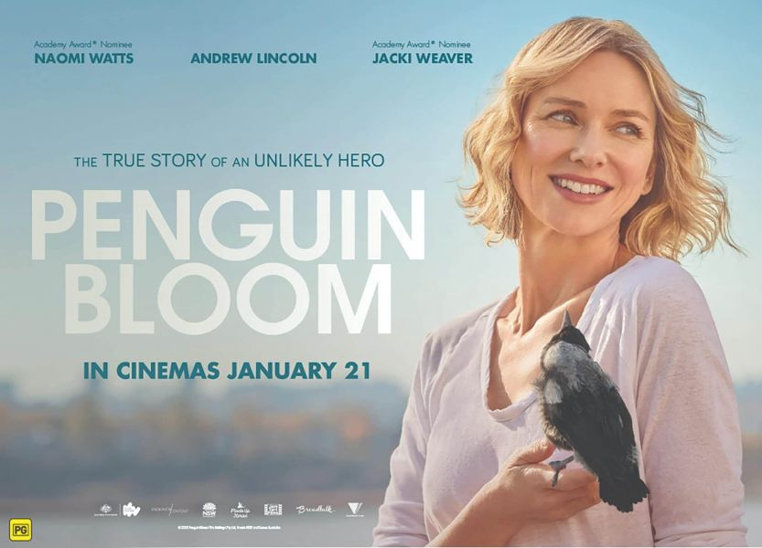 Cánh Cụt Nhà Bloom-Penguin Bloom